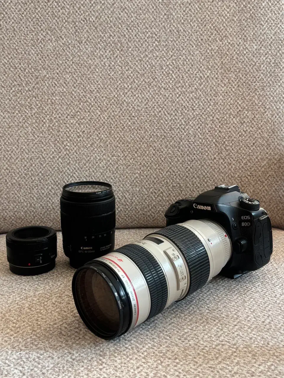 دوربین عکاسی کانن|دوربین عکاسی و فیلم‌برداری|مرودشت, ابوذر شمالی‎|دیوار