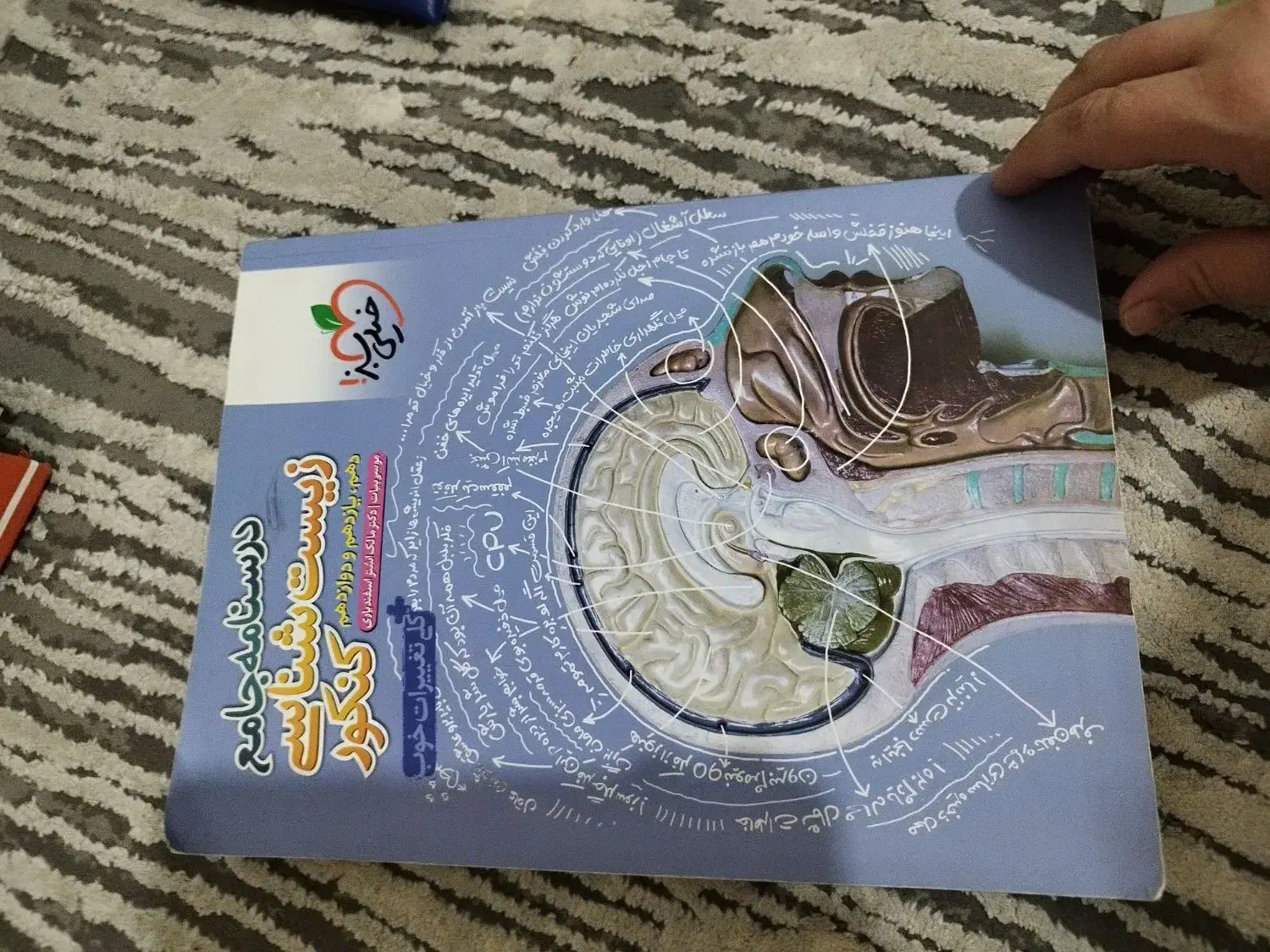 کتاب درسی|کتاب و مجله آموزشی|شاهین‌شهر, عطار|دیوار