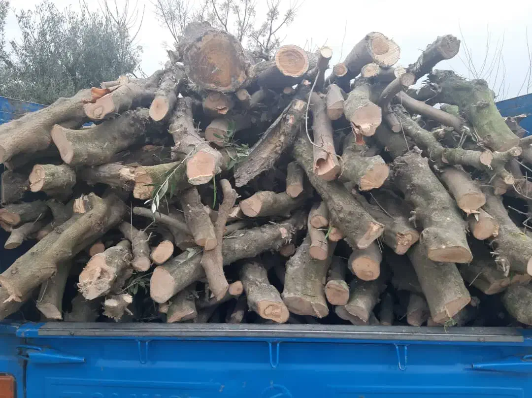 خرید چوب|خدمات باغبانی و درختکاری|گرگان, |دیوار