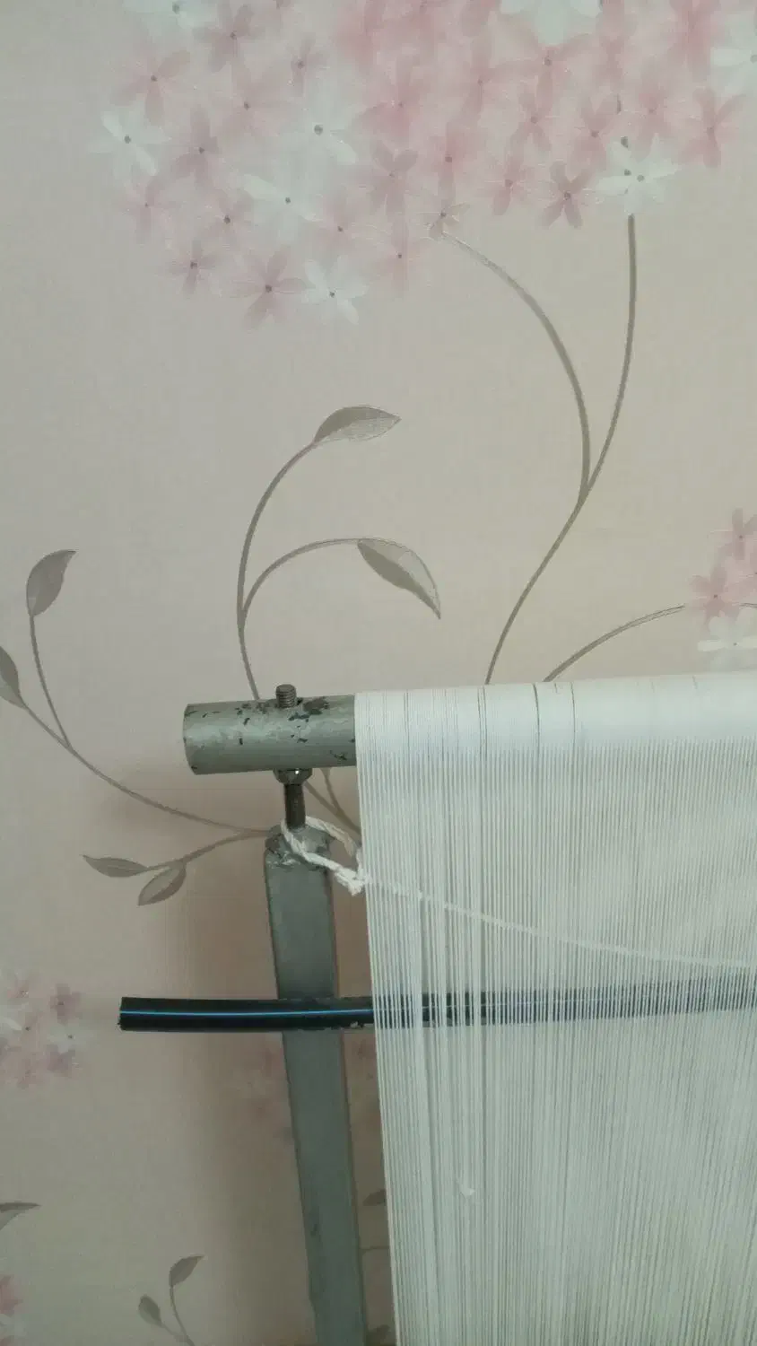 تابلو فرش نیمه بافته شده|تابلو فرش|زنجان, |دیوار