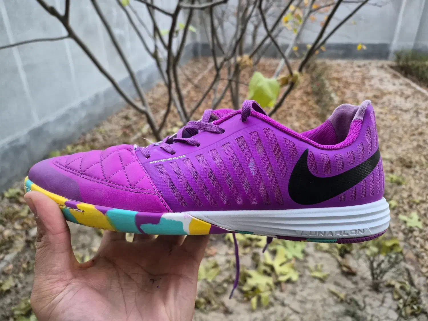 کفش فوتسال|کیف، کفش، کمربند|آشخانه, |دیوار