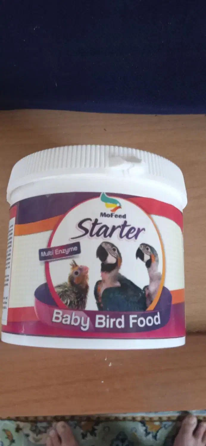 یک عدد سرلاک کوچک طوطی سانان|لوازم جانبی حیوانات|بندر انزلی, نیمه شعبان|دیوار