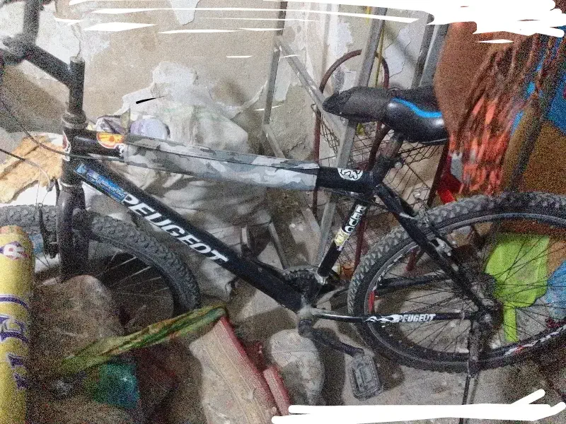 دوچرخه ۲۶|دوچرخه، اسکیت، اسکوتر|آزادشهر, |دیوار