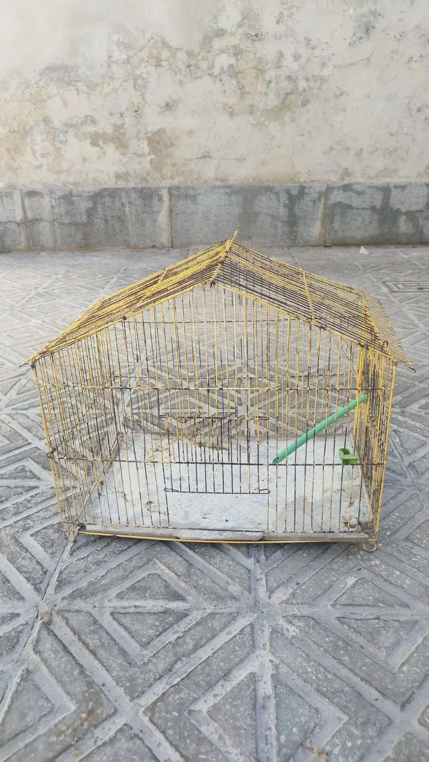 قفس پرنده|لوازم جانبی حیوانات|فردوس (خراسان), |دیوار