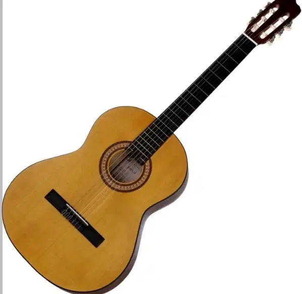 گیتار پارسی 6 سیم|گیتار، بیس، امپلیفایر|زنجان, |دیوار