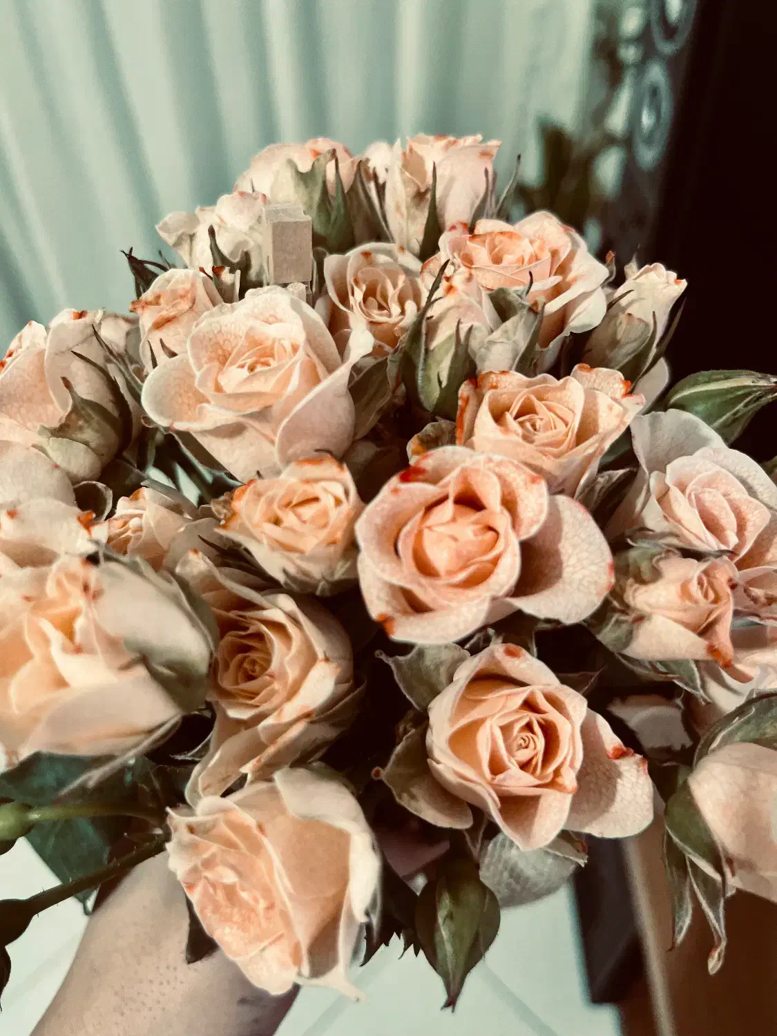 نظافتچی|خدمات نظافت|مشهد, سجاد شهر|دیوار