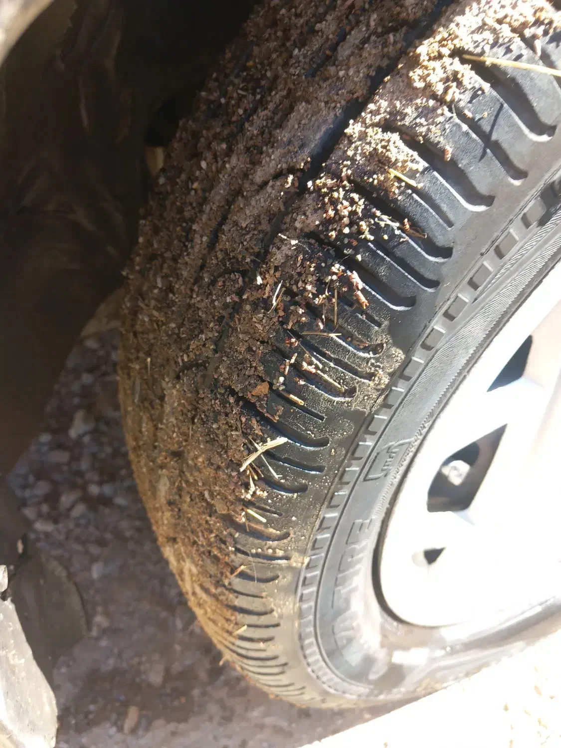 پراید مدل ۸۲|خودرو سواری و وانت|صحنه, |دیوار