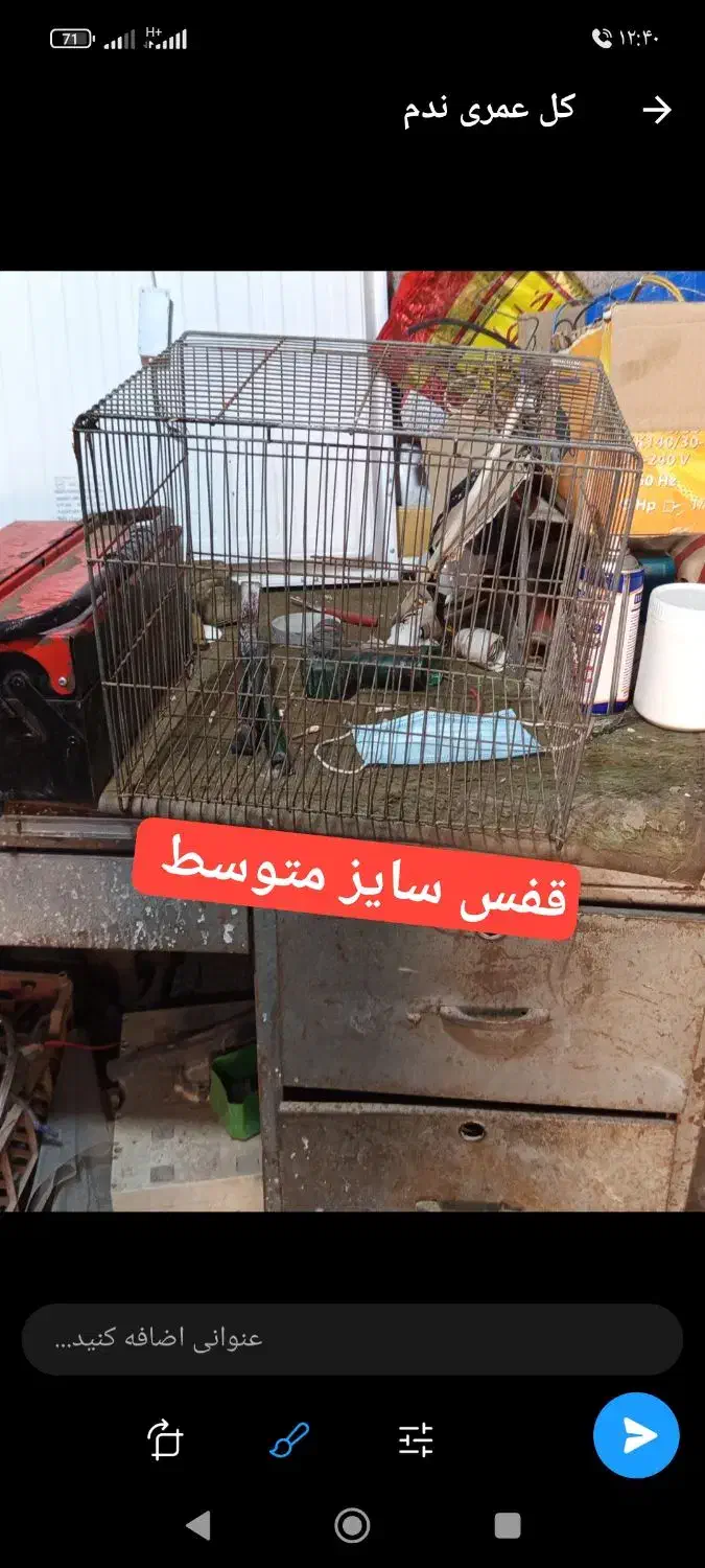 قفس|لوازم جانبی حیوانات|سوسنگرد, |دیوار