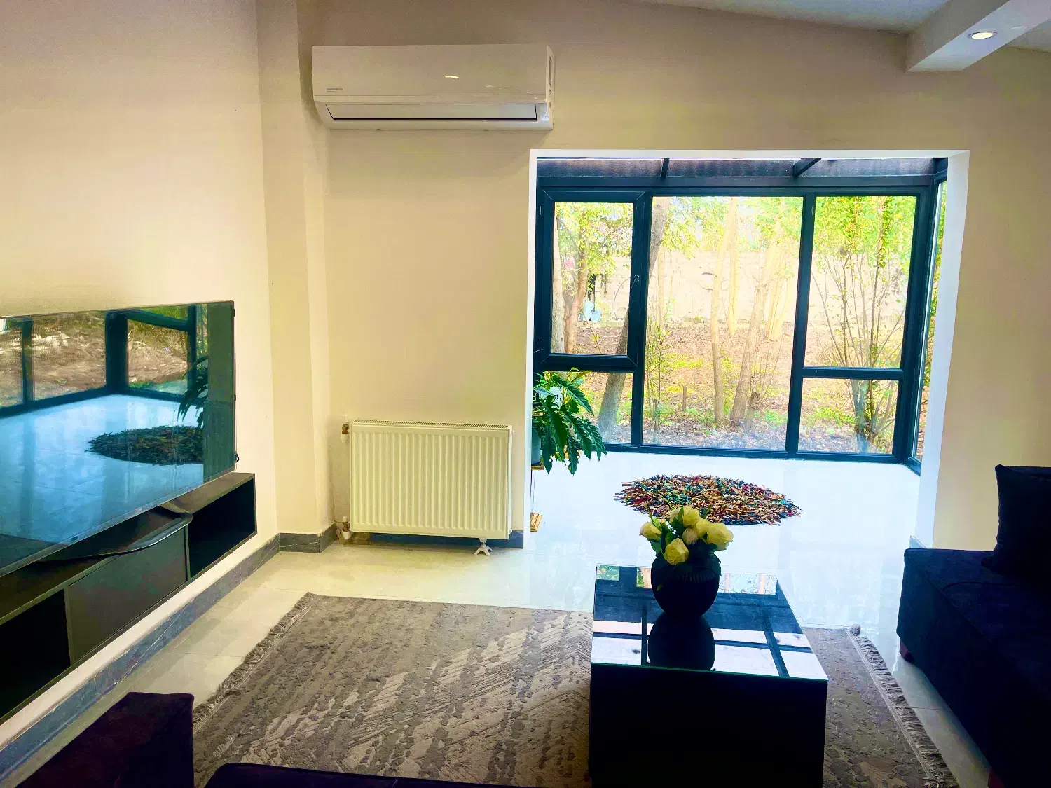 باغ ویلادوخوابه|اجارهٔ کوتاه‌مدت ویلا و باغ|رشت, کاکتوس|دیوار