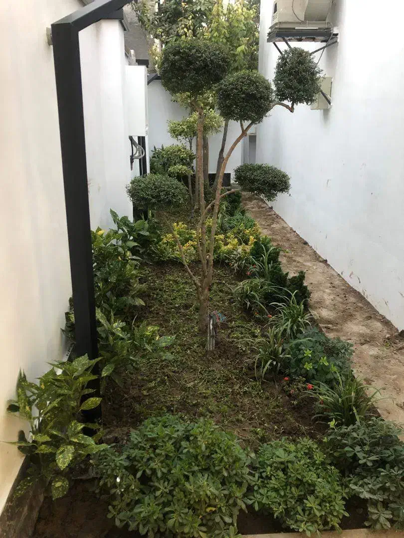 باغبانی تعویض گلدان در کرج چهارباغ مهرشهر کیانمهر|خدمات باغبانی و درختکاری|چهارباغ, |دیوار