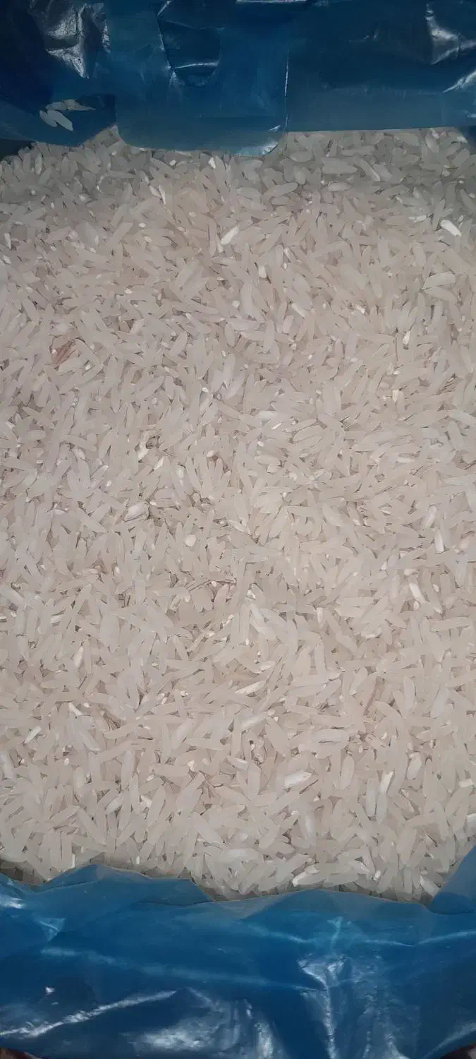 برنج فجر سوزنی خوش عطر|عمده‌فروشی|دامغان, |دیوار