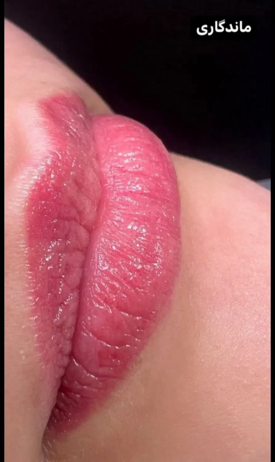 تخفیف ویژه میکرو ابرو و شید لب|خدمات آرایشگری و زیبایی|برازجان, |دیوار