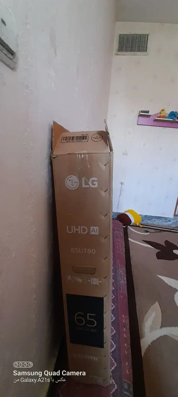 کارتن تلویزیون|تلویزیون و پروژکتور|الشتر, |دیوار