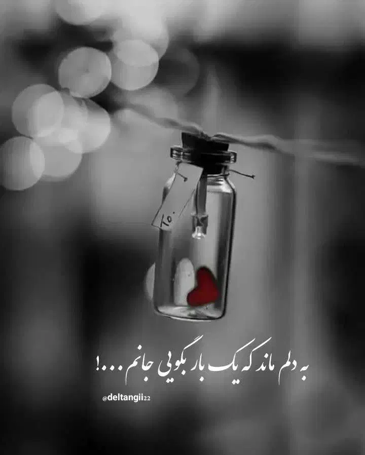 راهنمایی کنید|فعالیت داوطلبانه تحقیقاتی|پیر بکران, |دیوار