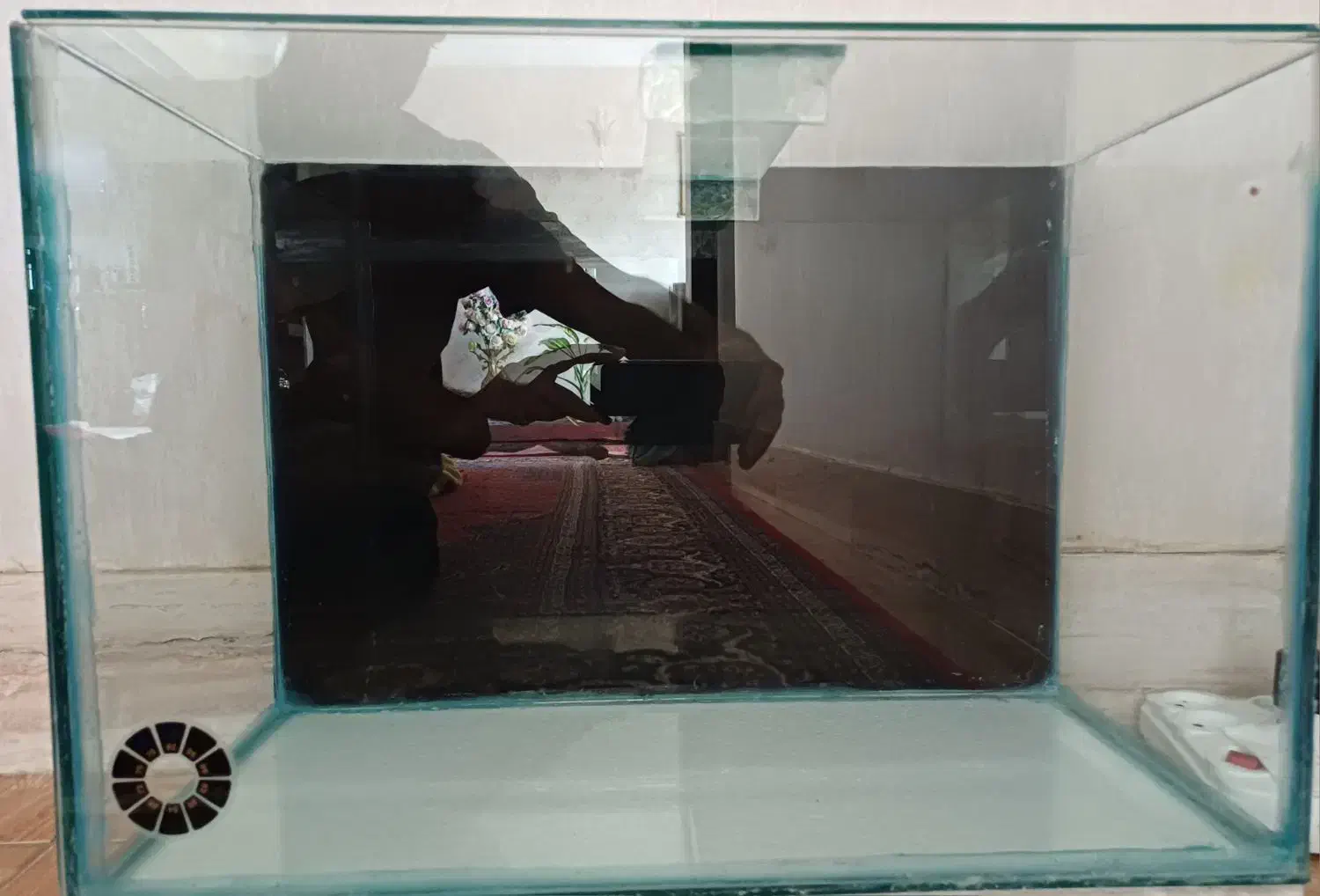 آکواریوم|ماهی|کرمانشاه, |دیوار