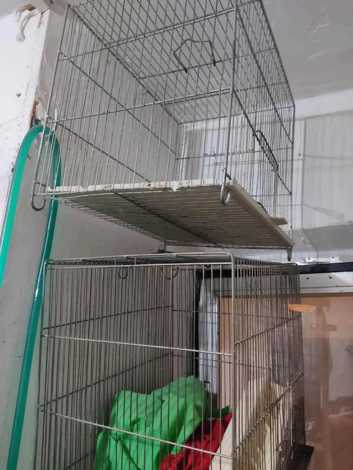 قفس پرنده|لوازم جانبی حیوانات|سنندج, |دیوار