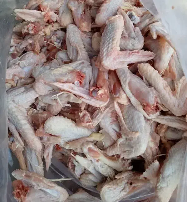 غذای سگ و گربه اسکلت مرغ|لوازم جانبی حیوانات|محمدشهر, محمدشهر|دیوار