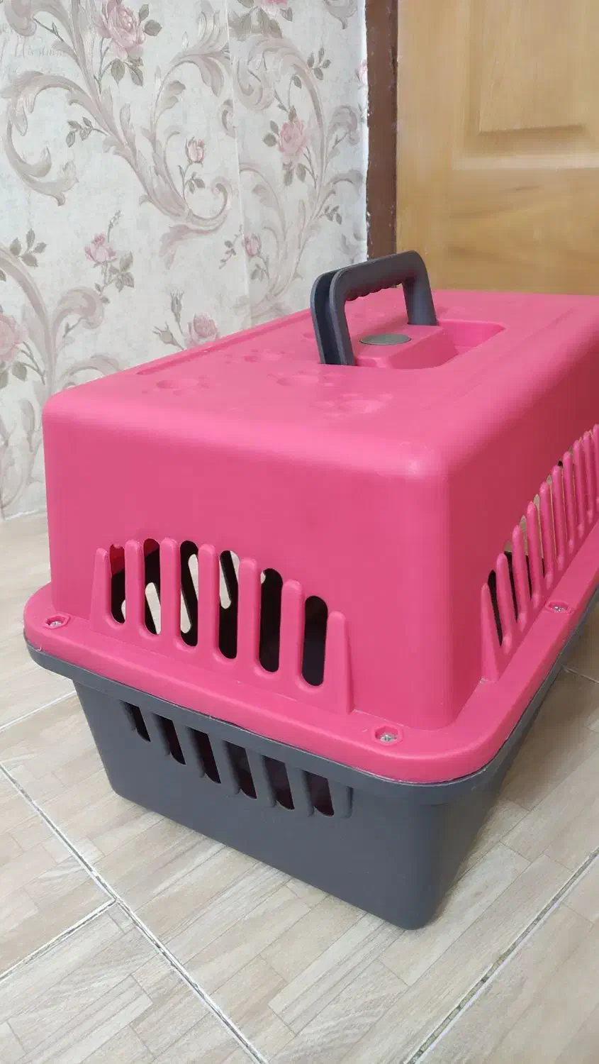 وسایل گربه تخفیف ویژه|لوازم جانبی حیوانات|تهران, جوادیه تهرانپارس|دیوار