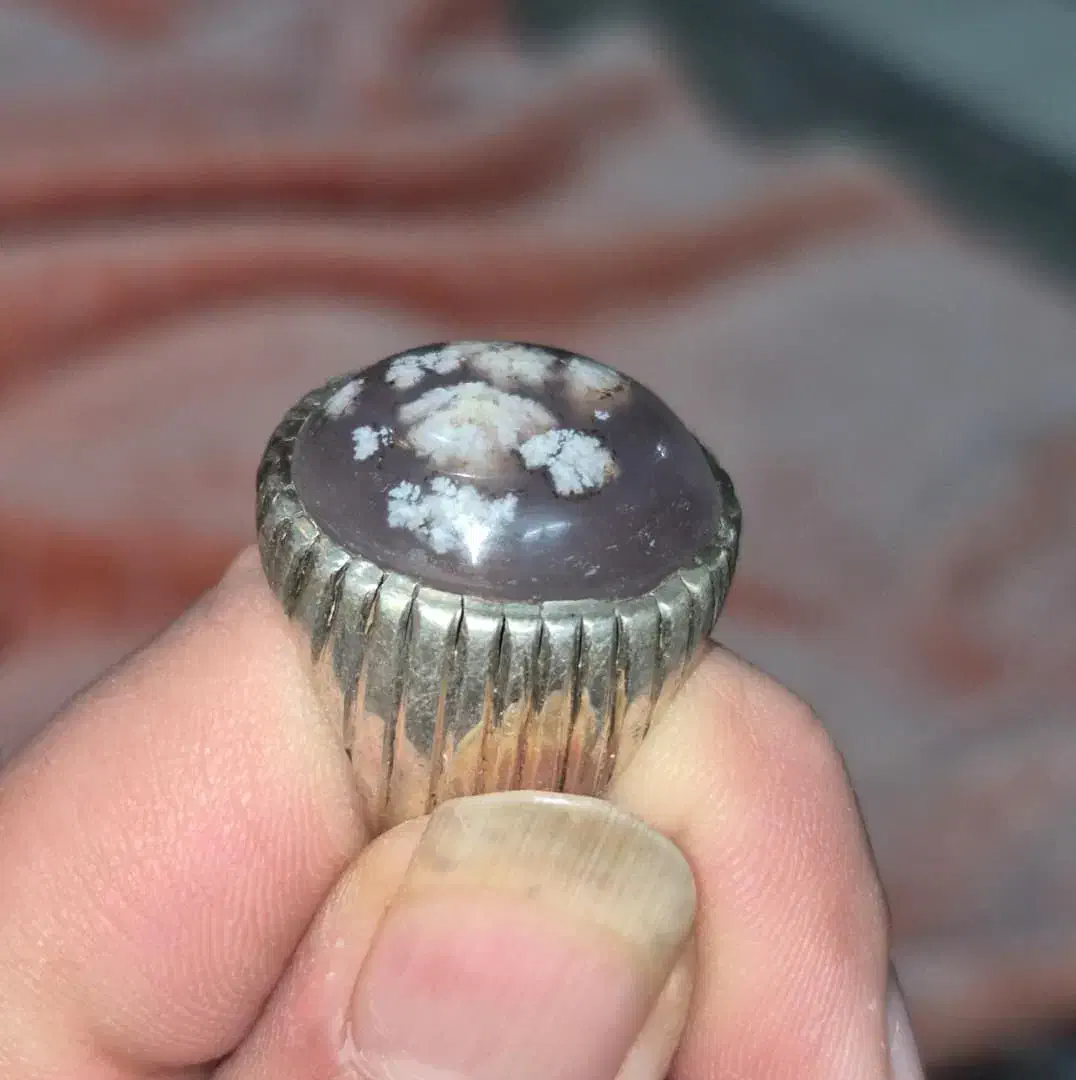 شجر بهاره|جواهرات|باقرشهر, |دیوار