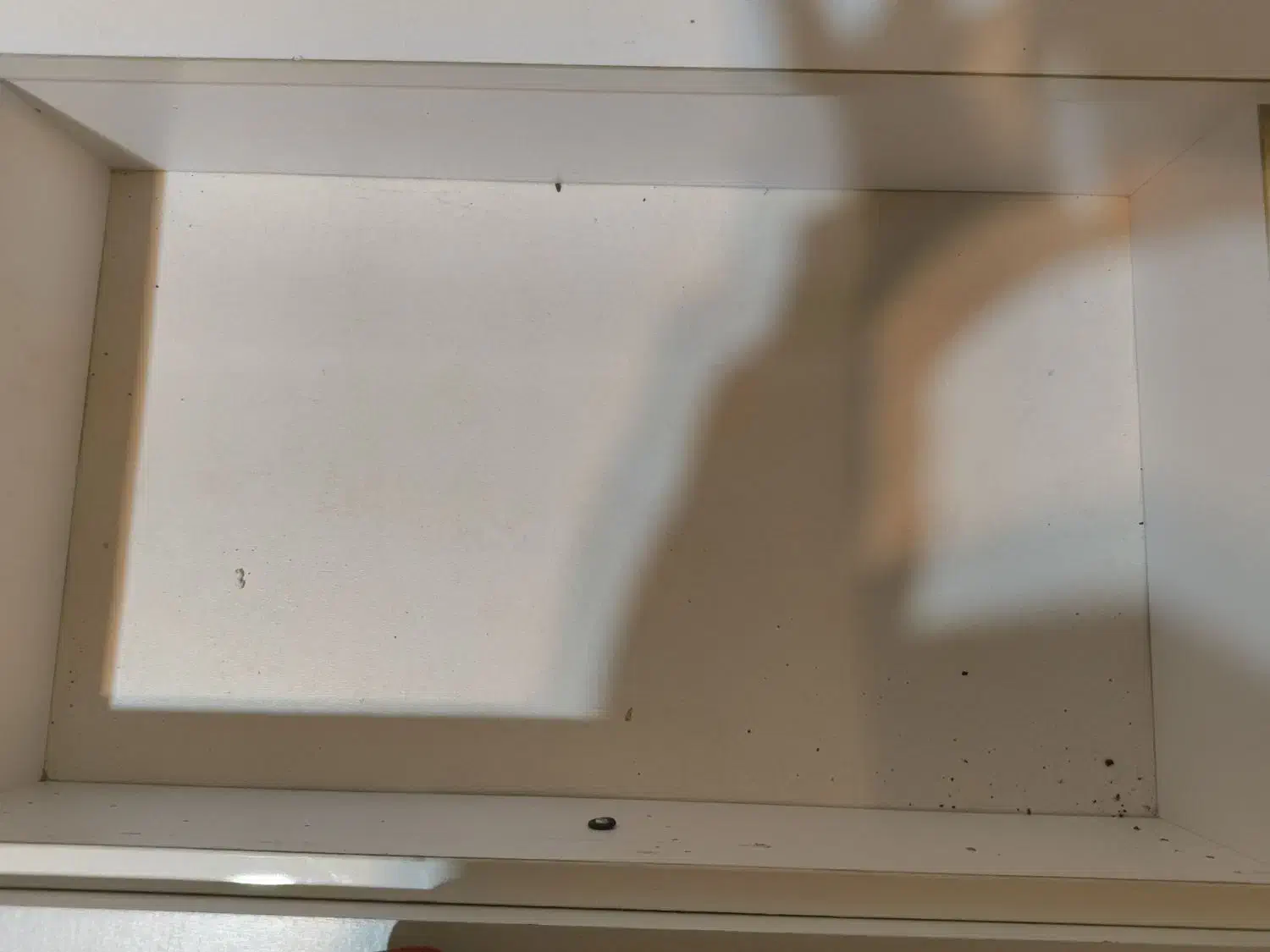 میز مطالعه|میز تحریر و کامپیوتر|رضوانشهر, |دیوار