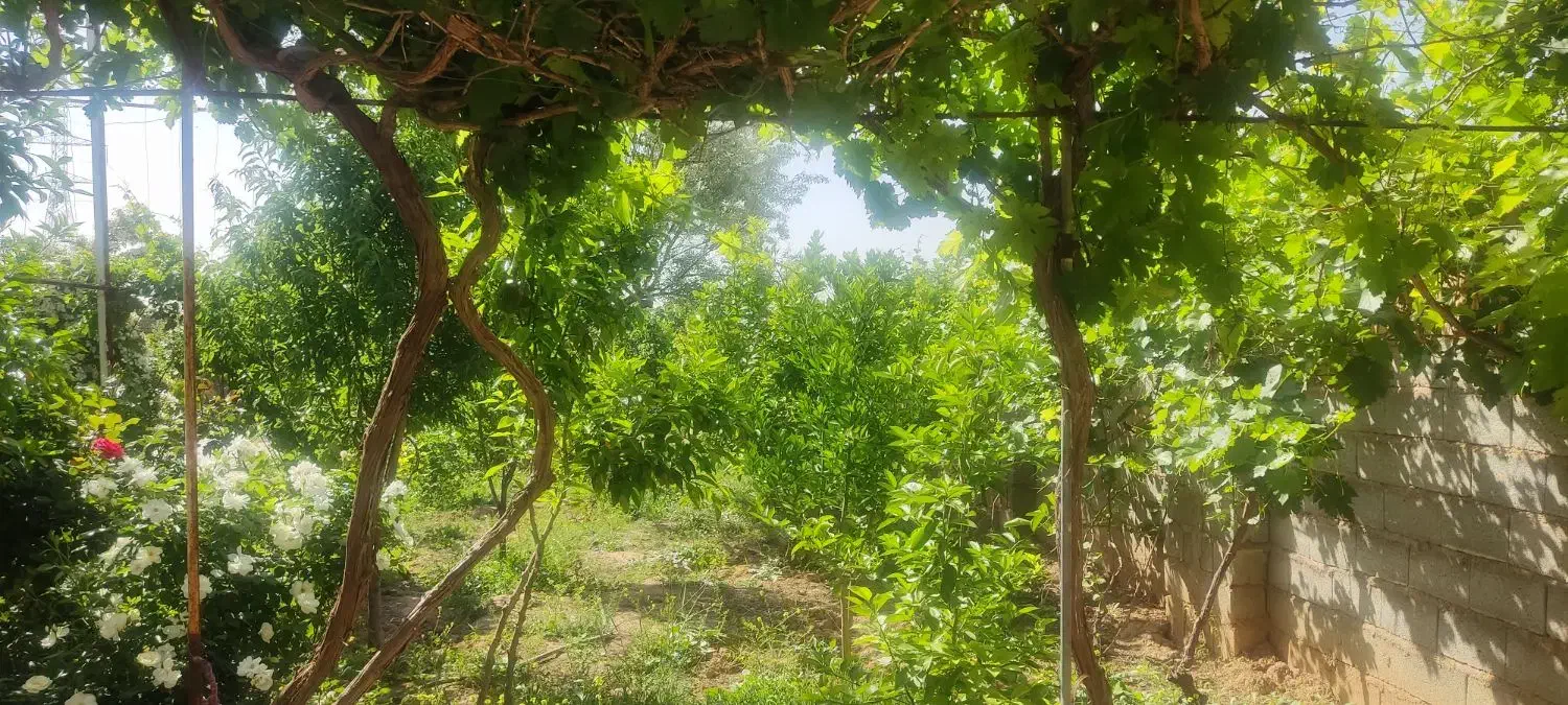 سوله کارگاهی|اجارهٔ دفتر صنعتی، کشاورزی، تجاری|شیراز, شاپورجان|دیوار