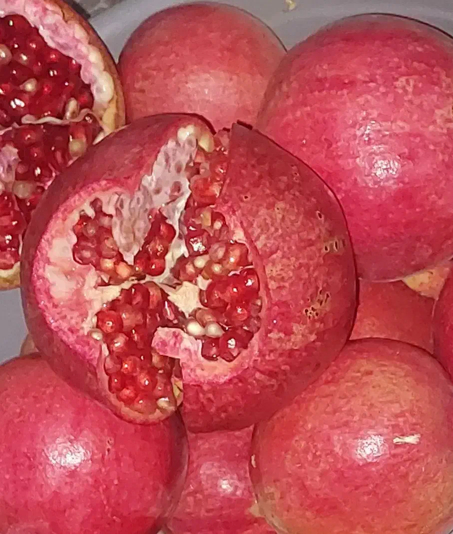 فروش انار درجزین مستقیم از باغ|خوردنی و آشامیدنی|مهدی شهر, |دیوار