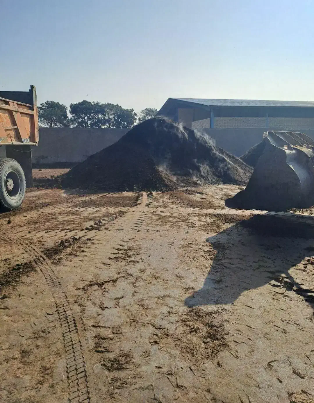 کود حیوانی خشک وخالص|خدمات باغبانی و درختکاری|ماهدشت, |دیوار