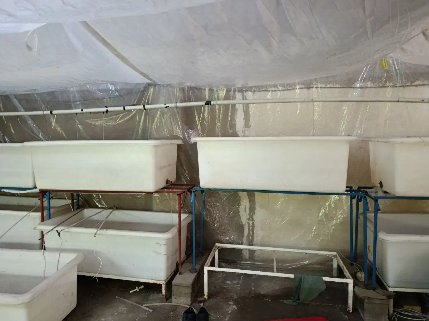 آکواریوم شیشه تانک .و وان 400لیتری|ماهی|پاکدشت, خاتون آباد|دیوار