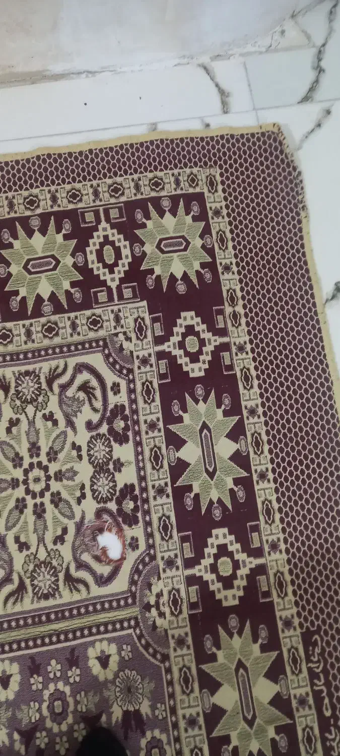 یک عدد روفرشی ۱۲ متری|روفرشی|ملایر, |دیوار