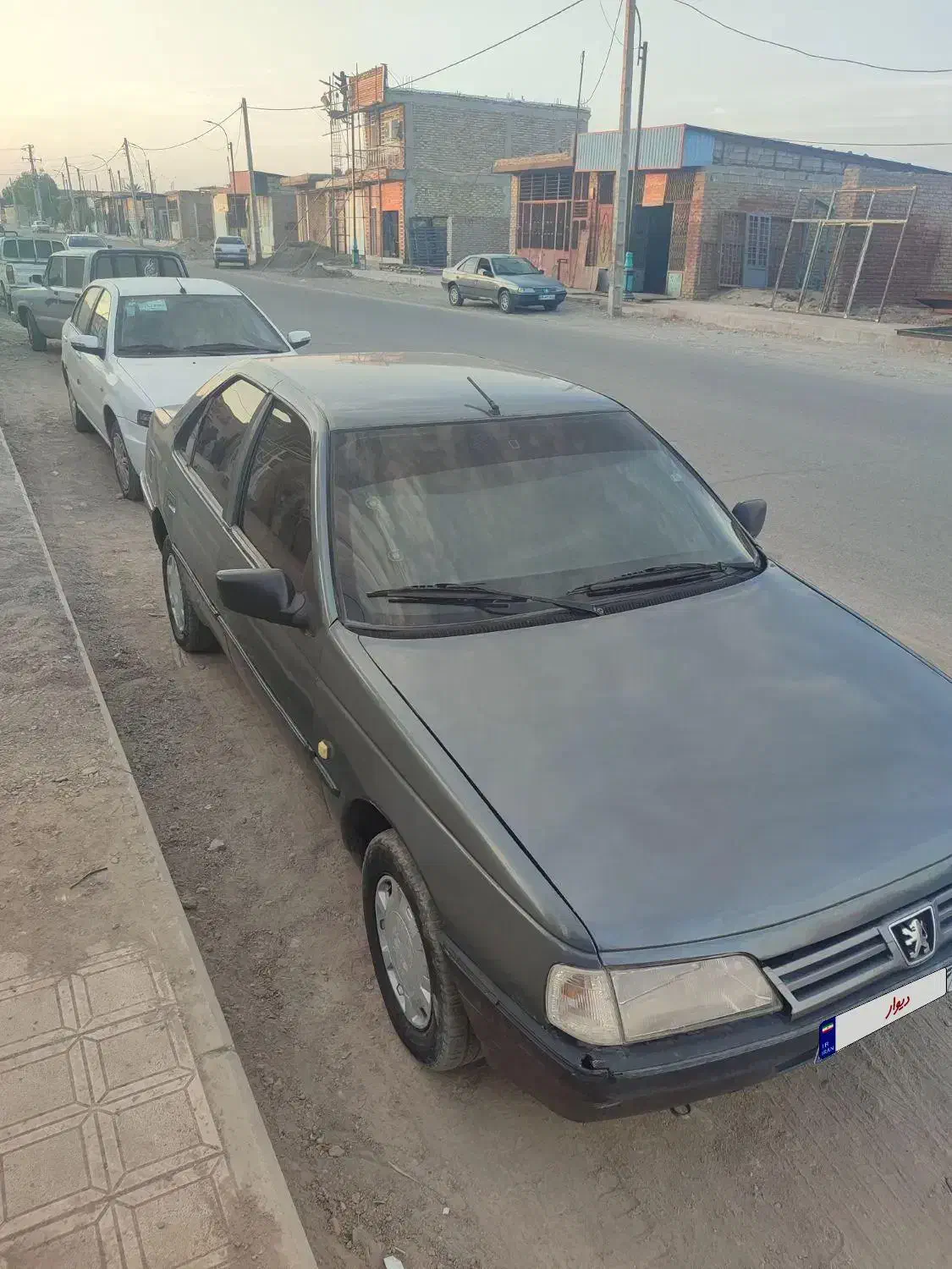 ۴۰۵ دلفینی تمام رنگ|خودرو سواری و وانت|جیرفت, |دیوار