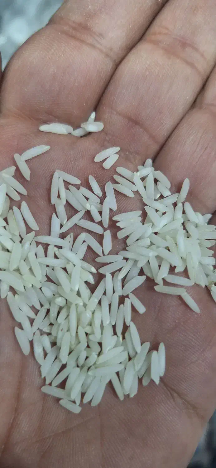 برنج هاشمی شمال|خوردنی و آشامیدنی|بندر ماهشهر, |دیوار