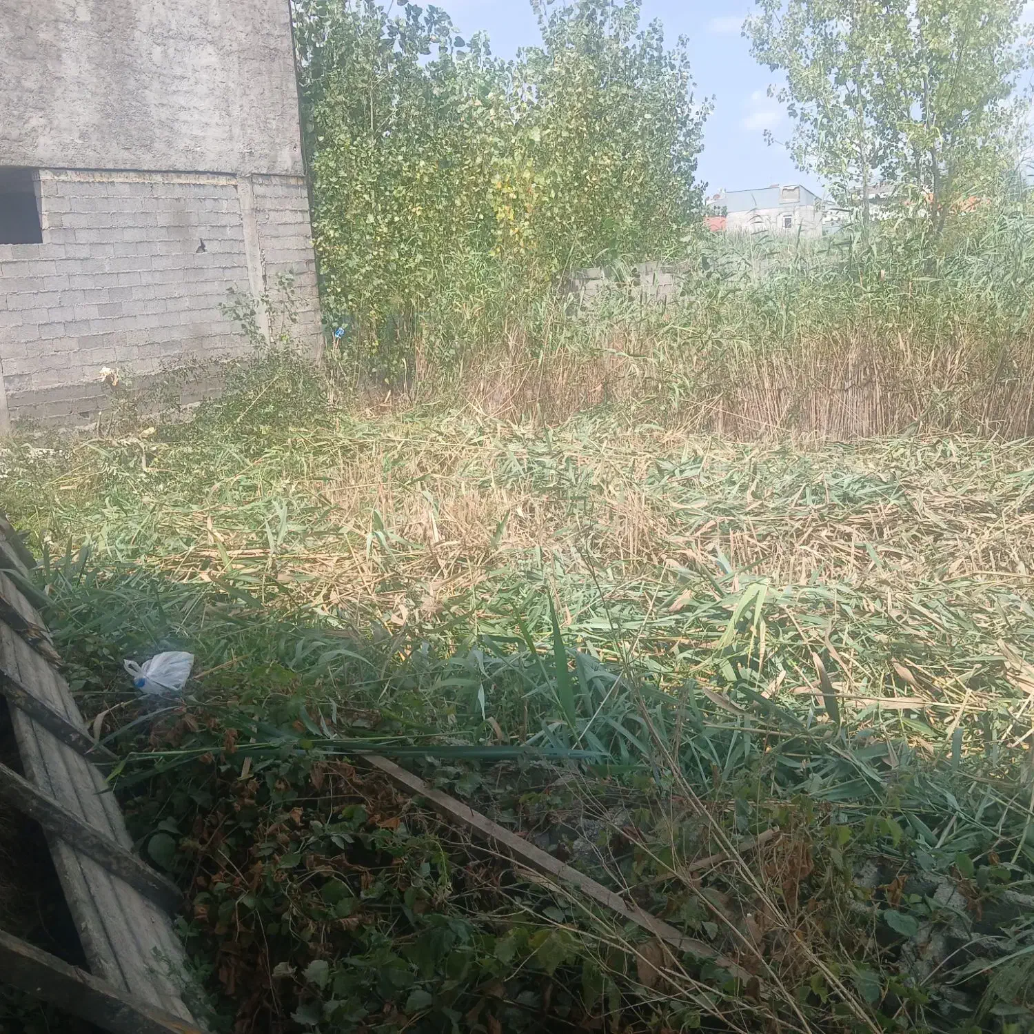 زمین متراز ۱۳۴ متر مربع مسکونی|فروش زمین و ملک کلنگی|رشت, خرسندی|دیوار