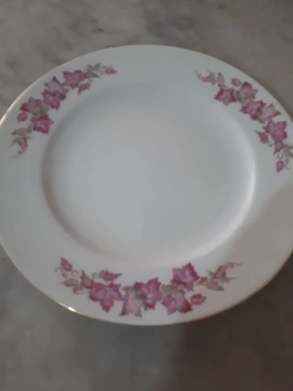 دو دست برنج خوری چینی زرین|ظروف سرو و پذیرایی|پردیس, فاز ۲|دیوار