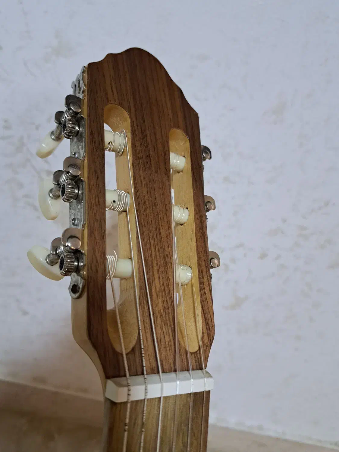 گیتار|گیتار، بیس، امپلیفایر|رشت, سعدی (تختی)|دیوار