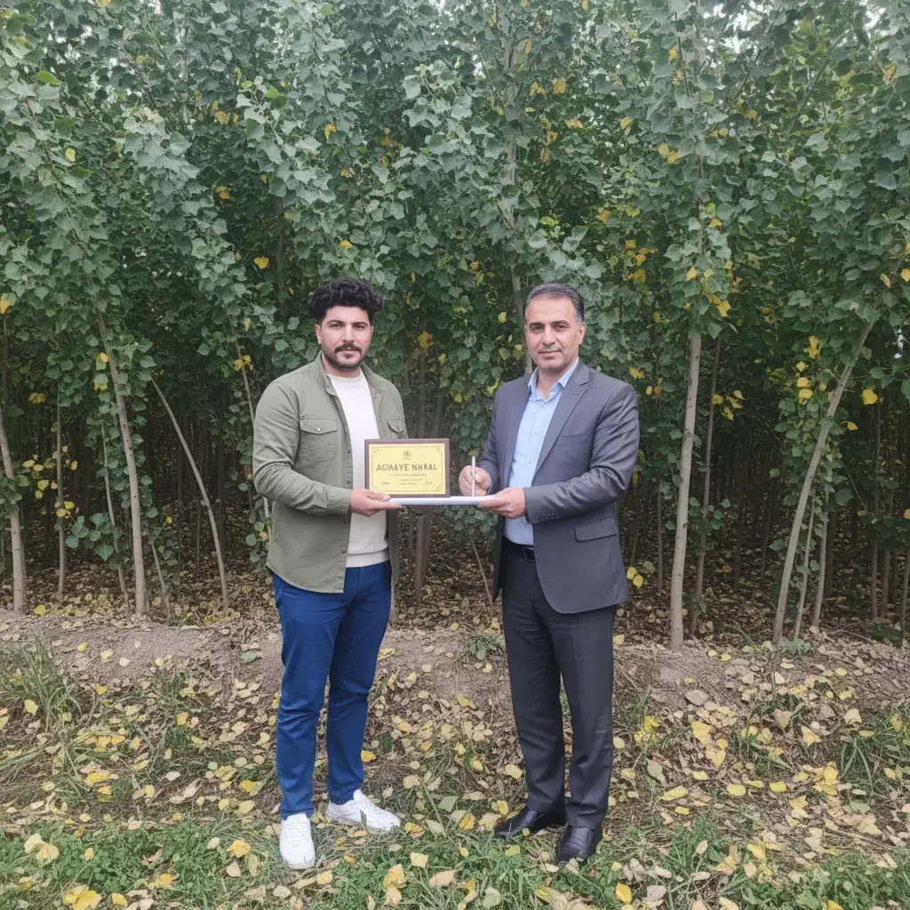 صنوبر سراب، رشد سریع و بازده بالا|خدمات باغبانی و درختکاری|سراب, |دیوار