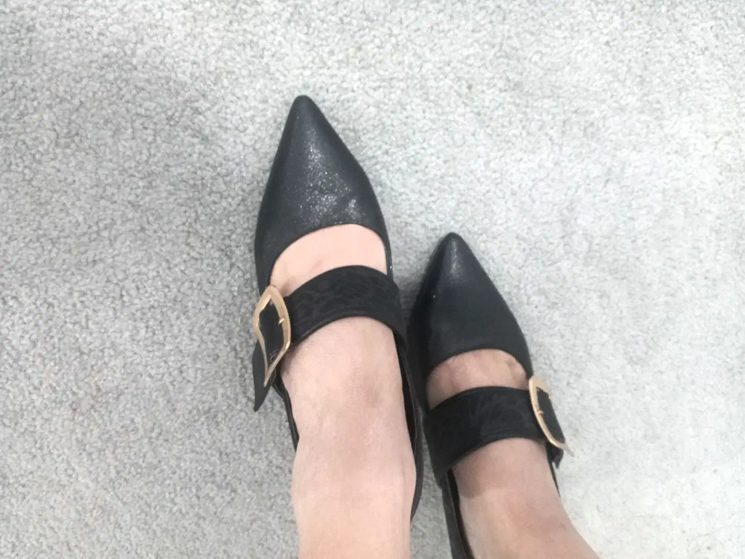 کفشچرم مجلسیسایز۳۷|کیف، کفش، کمربند|یاسوج, |دیوار