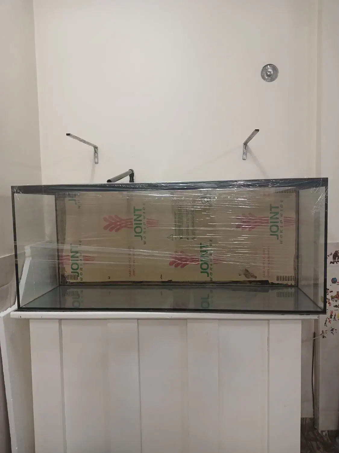 اکواریوم ریملس|ماهی|خمینیشهر, |دیوار