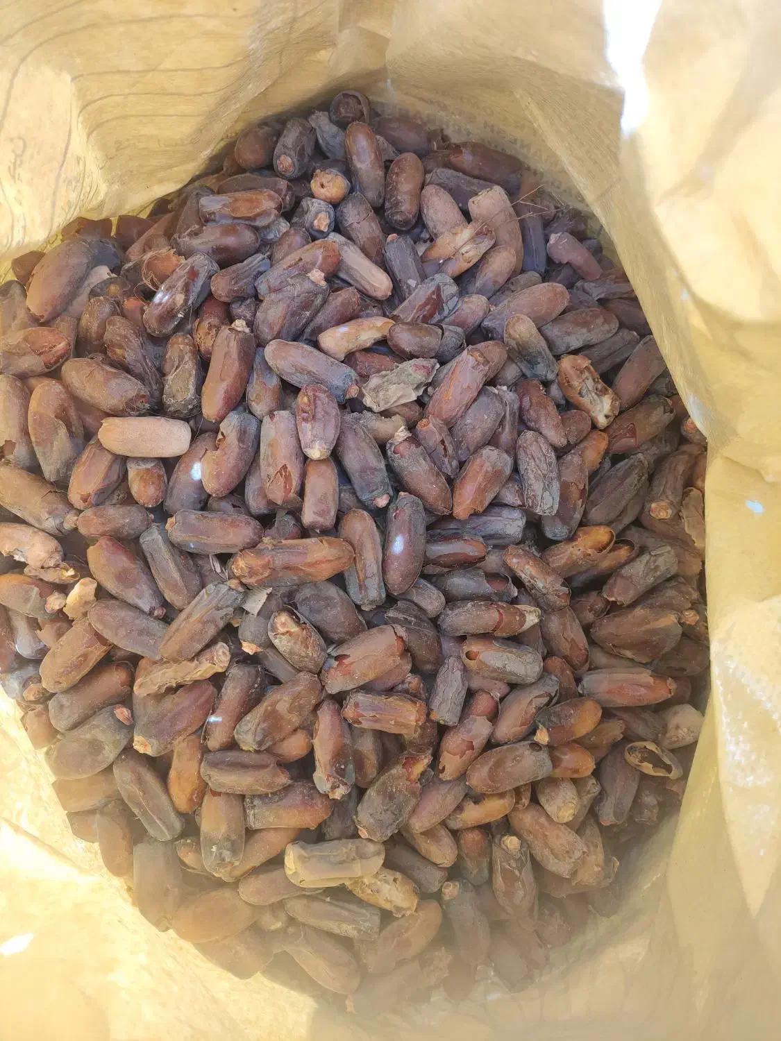 خرما|خوردنی و آشامیدنی|داراب, |دیوار
