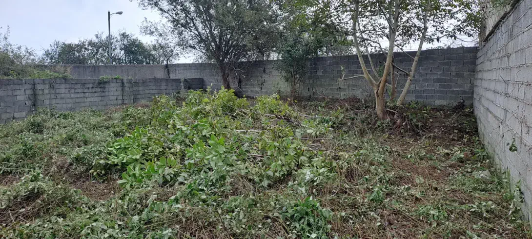 فروش زمین بافت  ۳۶۴ متری دوجمان محله تهرانی نشین|فروش زمین و ملک کلنگی|هچیرود, |دیوار