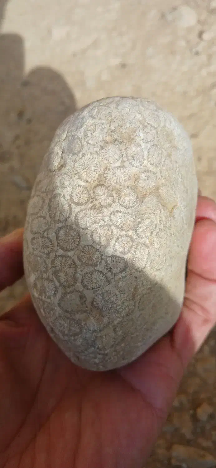 سنگ قیمتی|کلکسیون اشیاء عتیقه|تهران, کوی نصر مهرآباد|دیوار