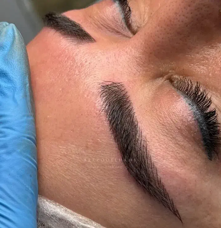 نیازمند مدل برای ابرو و لب|خدمات آرایشگری و زیبایی|تربتحیدریه, مظفریه|دیوار