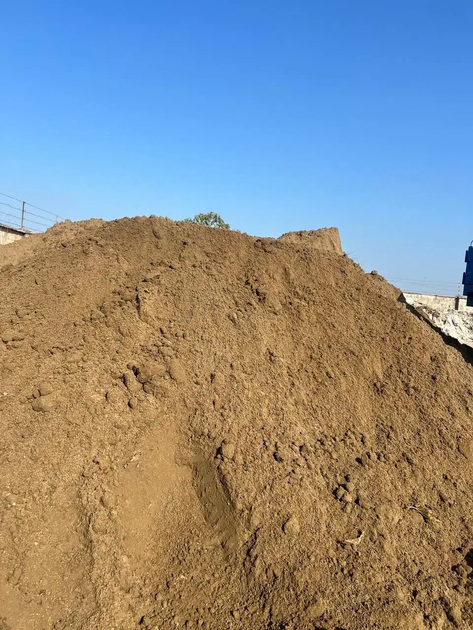 خاک باغچه تضمینی .درختکاری.باغی|گل و گیاه طبیعی|رشت, پسیخان|دیوار