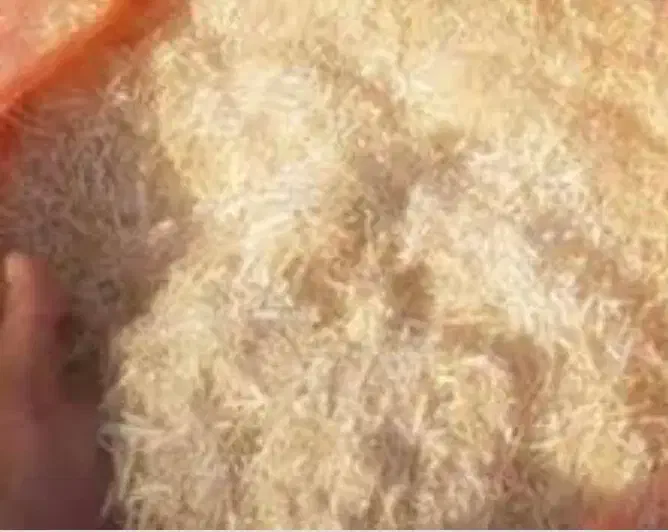 کاه جو|لوازم جانبی حیوانات|باشتین, |دیوار