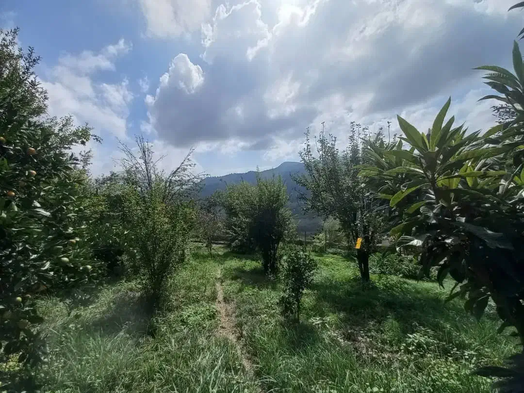 فروش  باغ ویلای   ۲۲۲۰ متری|فروش خانه و ویلا|پایین هولار, |دیوار