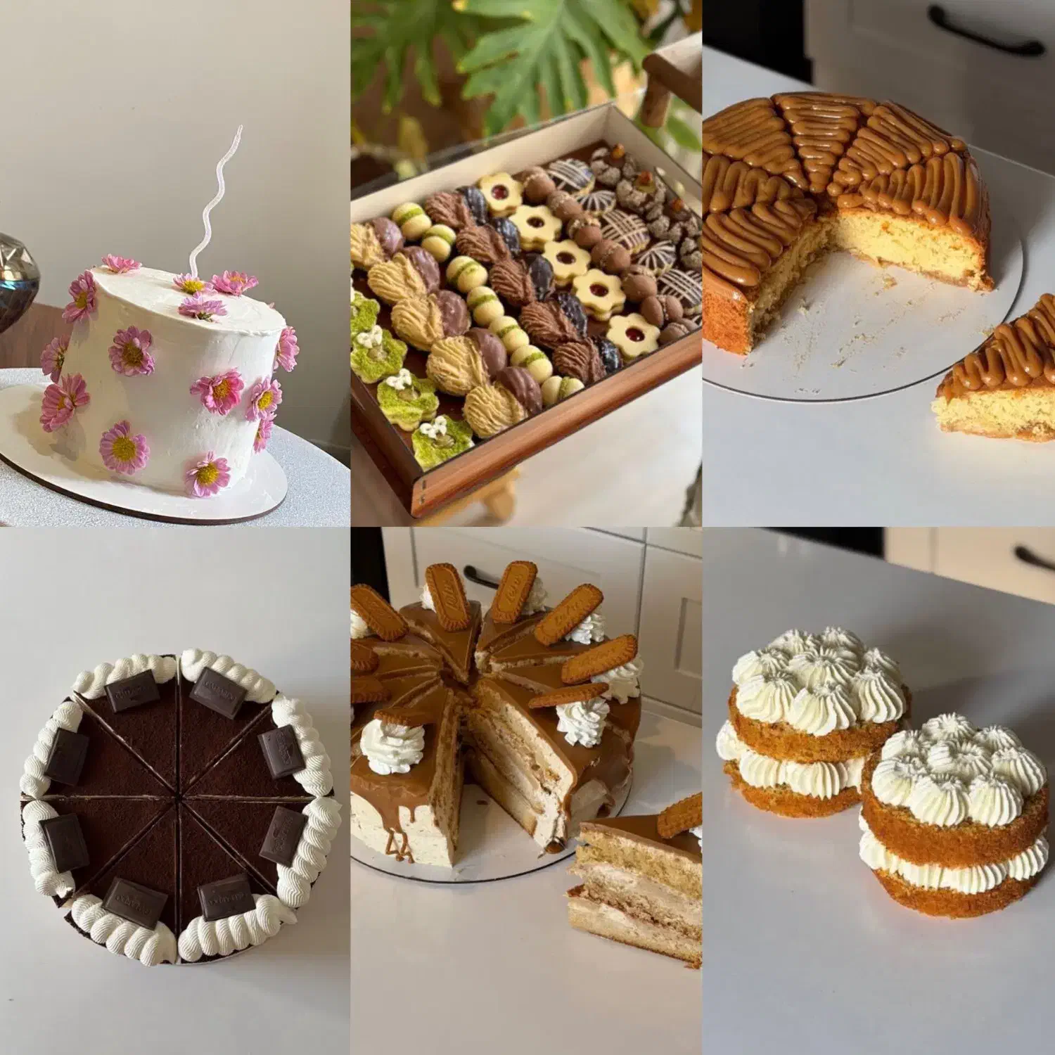 کیک|خدمات پذیرایی، مراسم|بانه, |دیوار