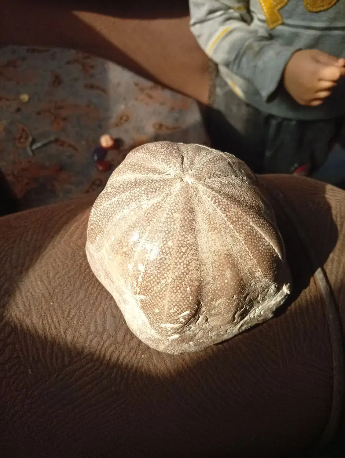 سنگ|کلکسیون اشیاء عتیقه|بندر کنگان, |دیوار