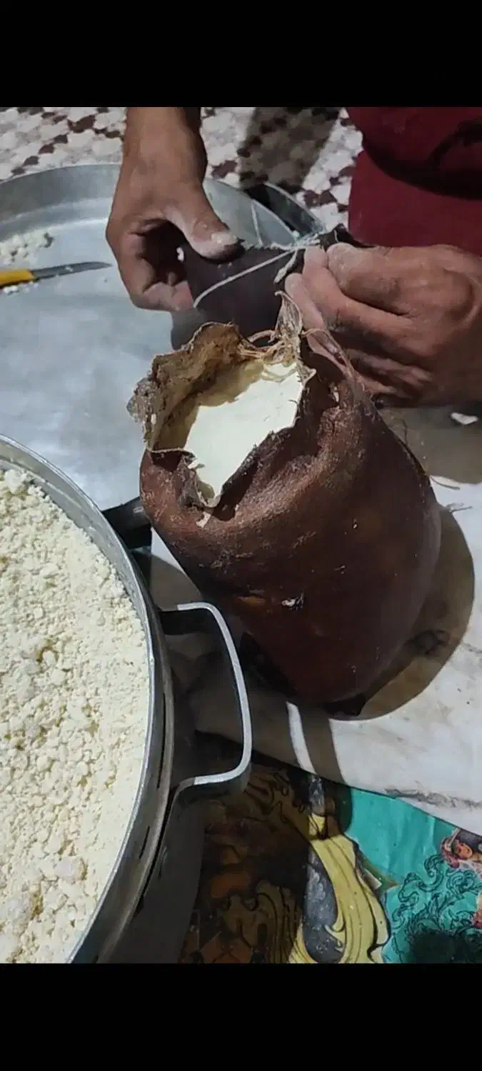 پنیر محلی بز منطقه چهارگنبد|خوردنی و آشامیدنی|سیرجان, |دیوار