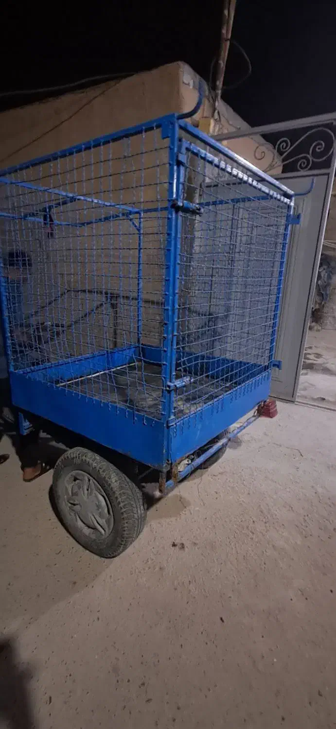 بودی سچرخه|دوچرخه، اسکیت، اسکوتر|بندر ماهشهر, |دیوار