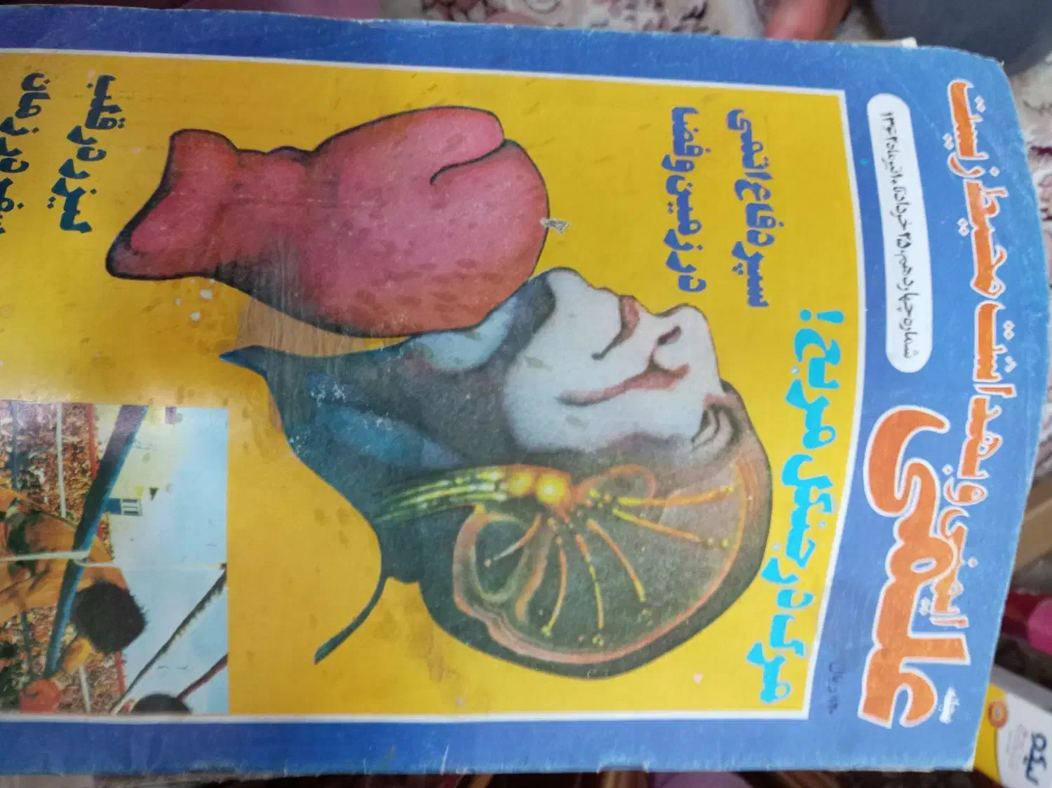 مجلات علمی|مجلات|اصفهان, باغ زرشک|دیوار