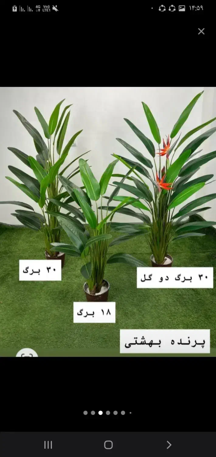 نخل درخچه|گل مصنوعی|تهران, مشیریه|دیوار